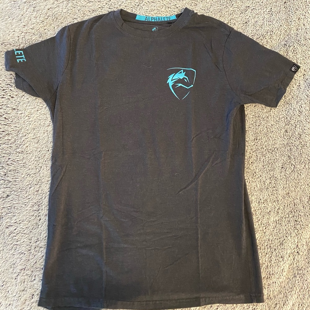 Alphalete blue and gray performance t-shirt